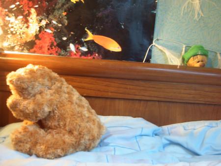 sinc� et lili qui joue a cache cache...